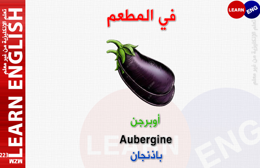  bntpal.com_147176198