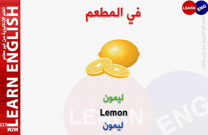  bntpal.com_147176198