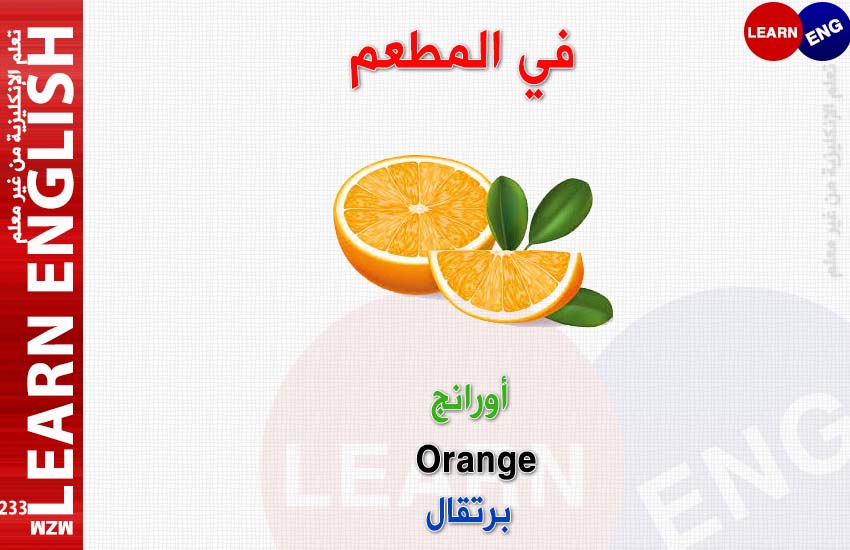  bntpal.com_147184724