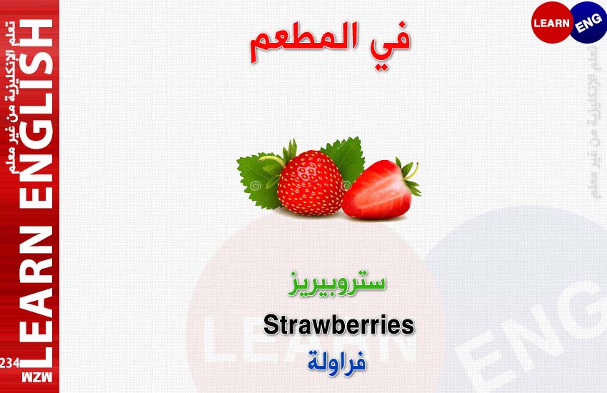  bntpal.com_147184724