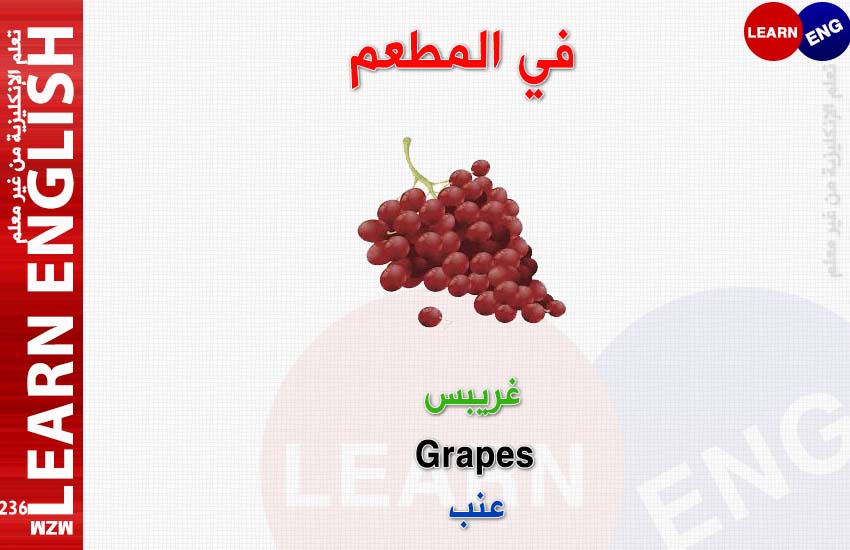  bntpal.com_147184724