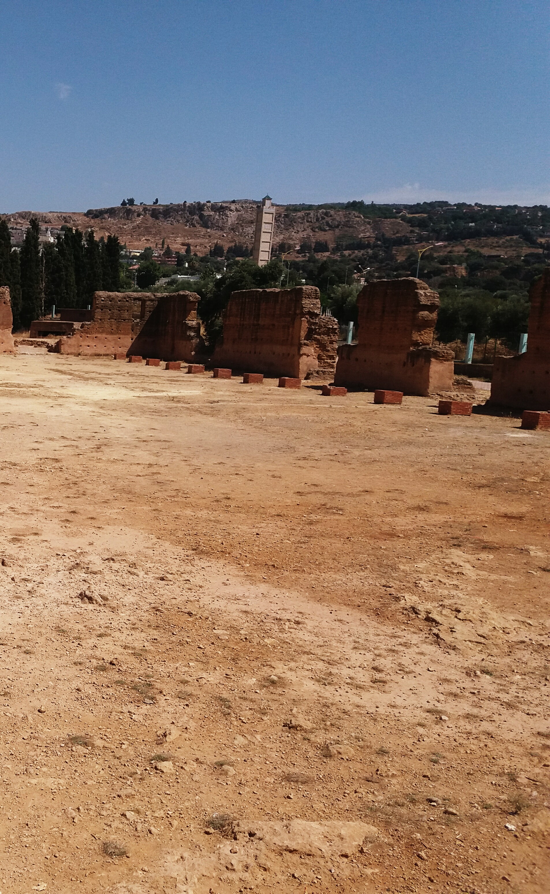 ���� ���� ������ �� ���� ������