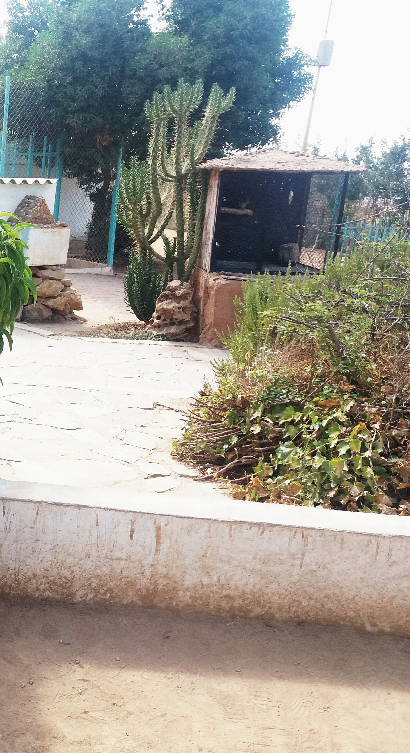 ���� ���� ������ �� ���� ������