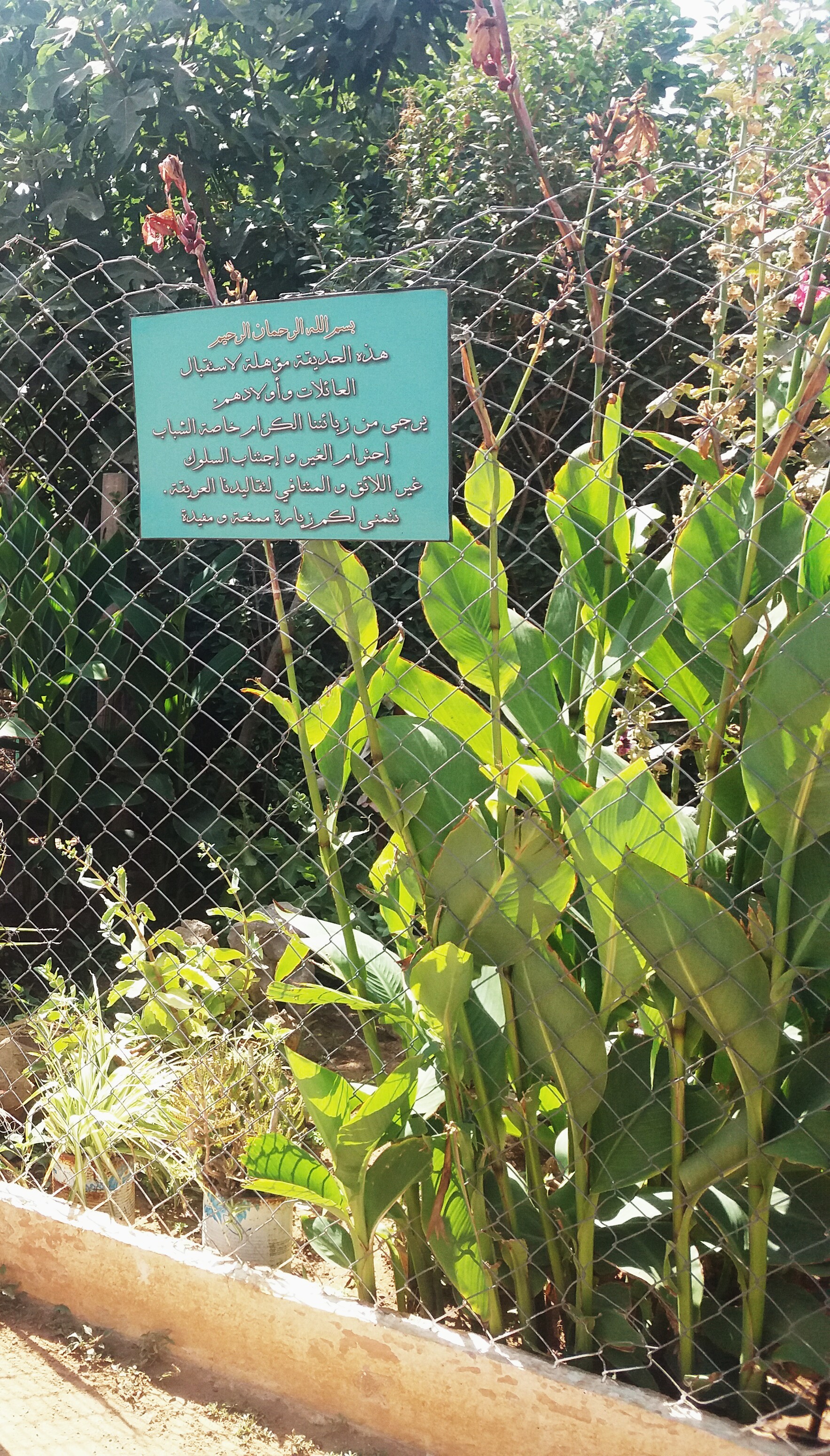 ���� ���� ������ �� ���� ������