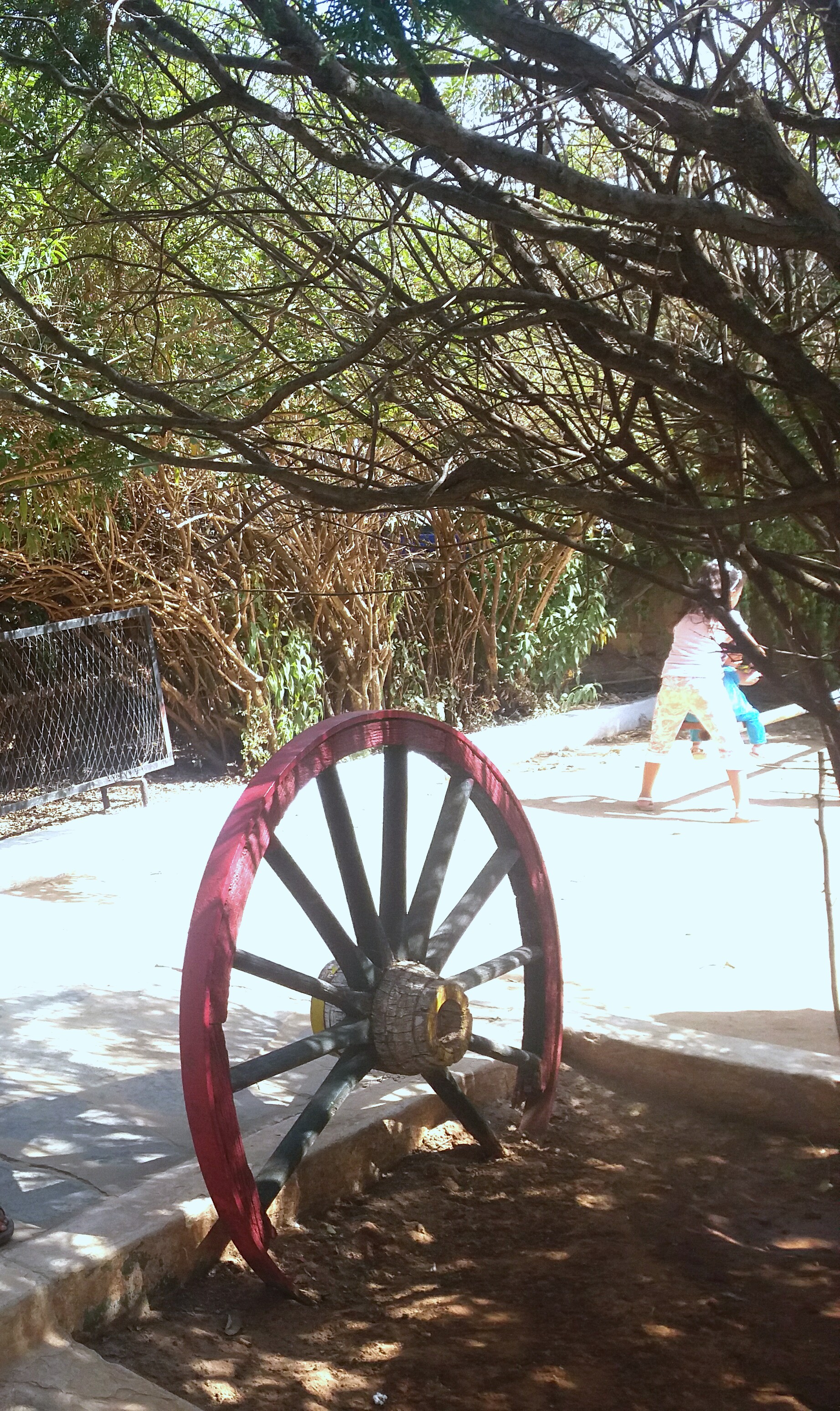 ���� ���� ������ �� ���� ������