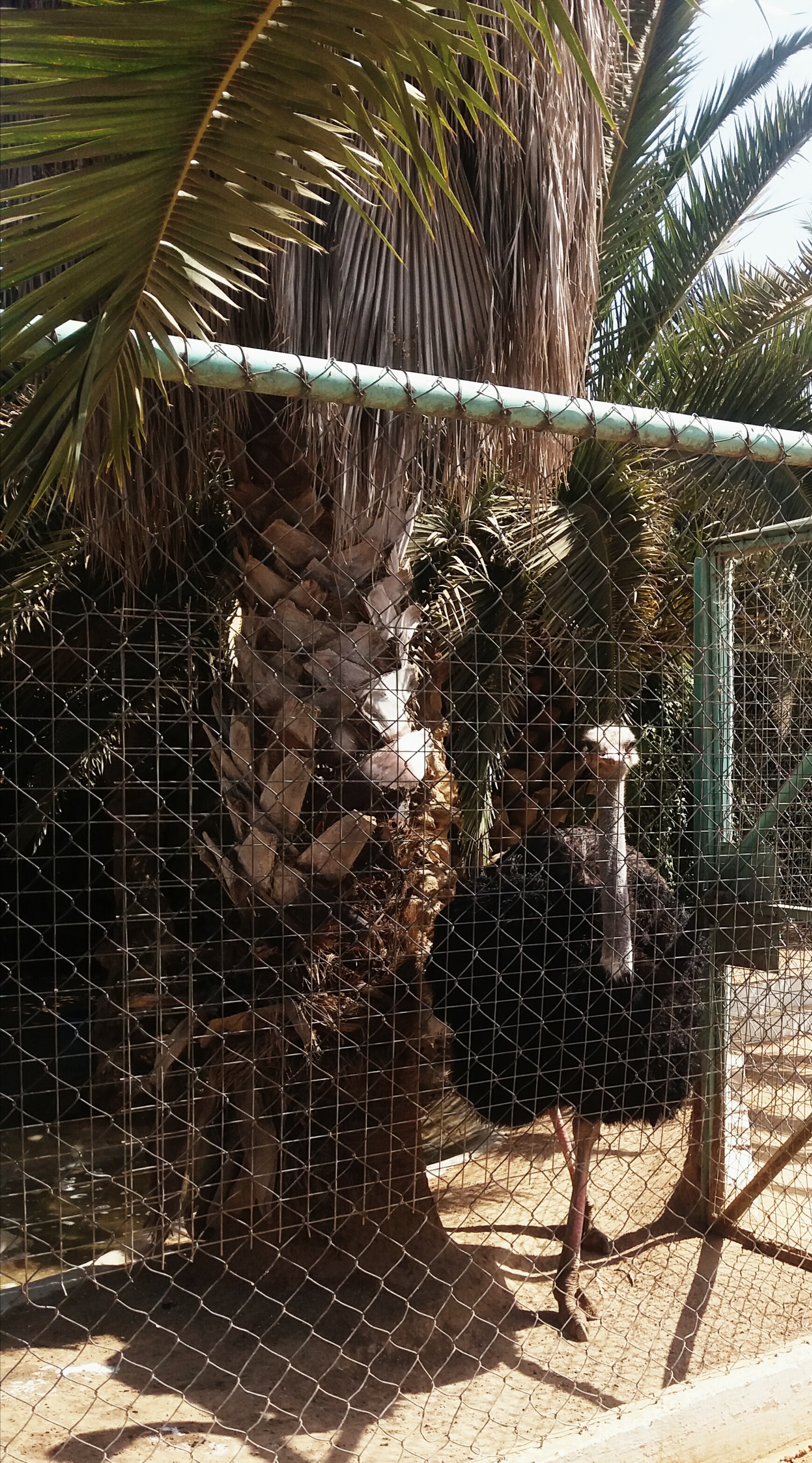 ���� ���� ������ �� ���� ������