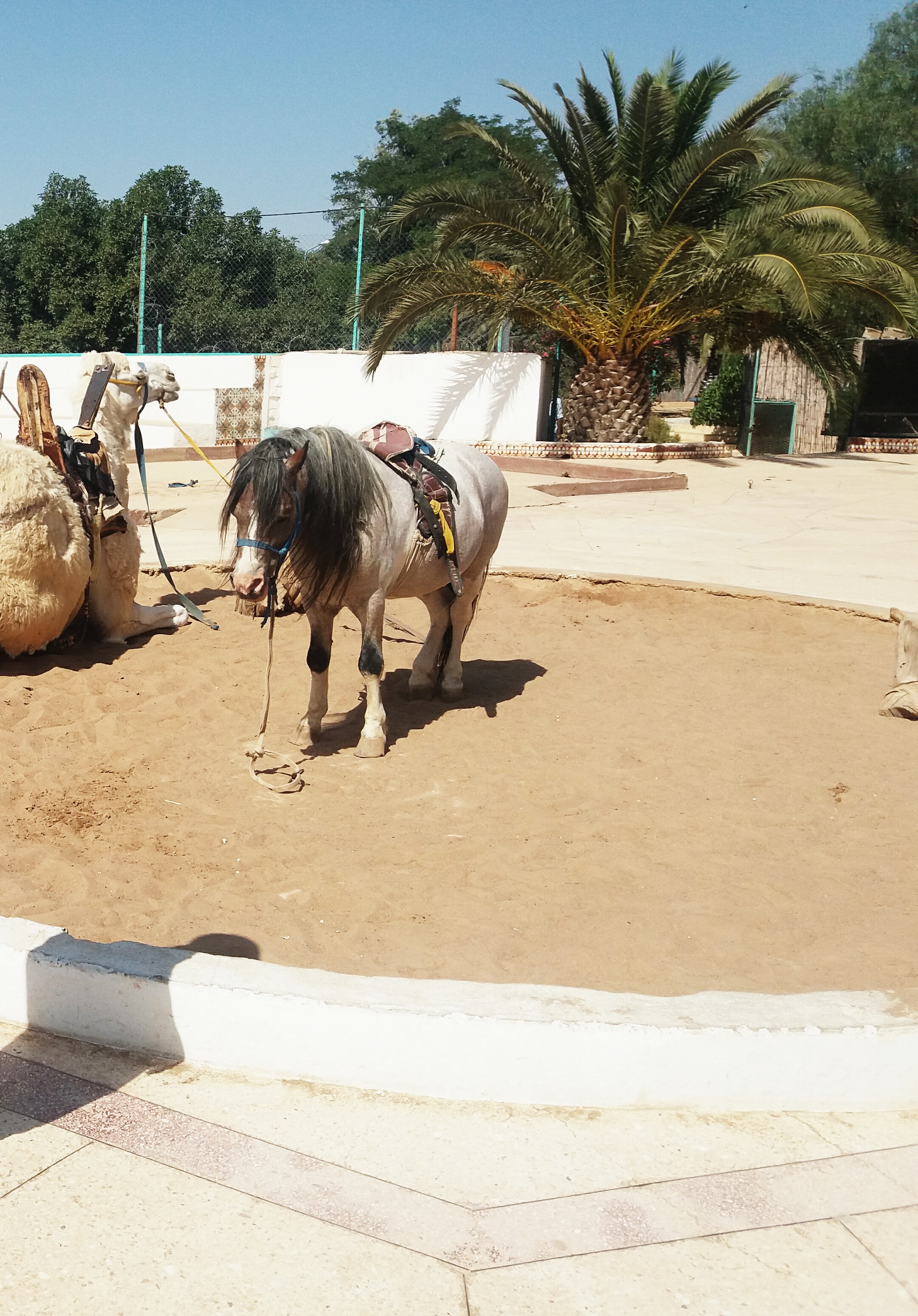 ���� ���� ������ �� ���� ������