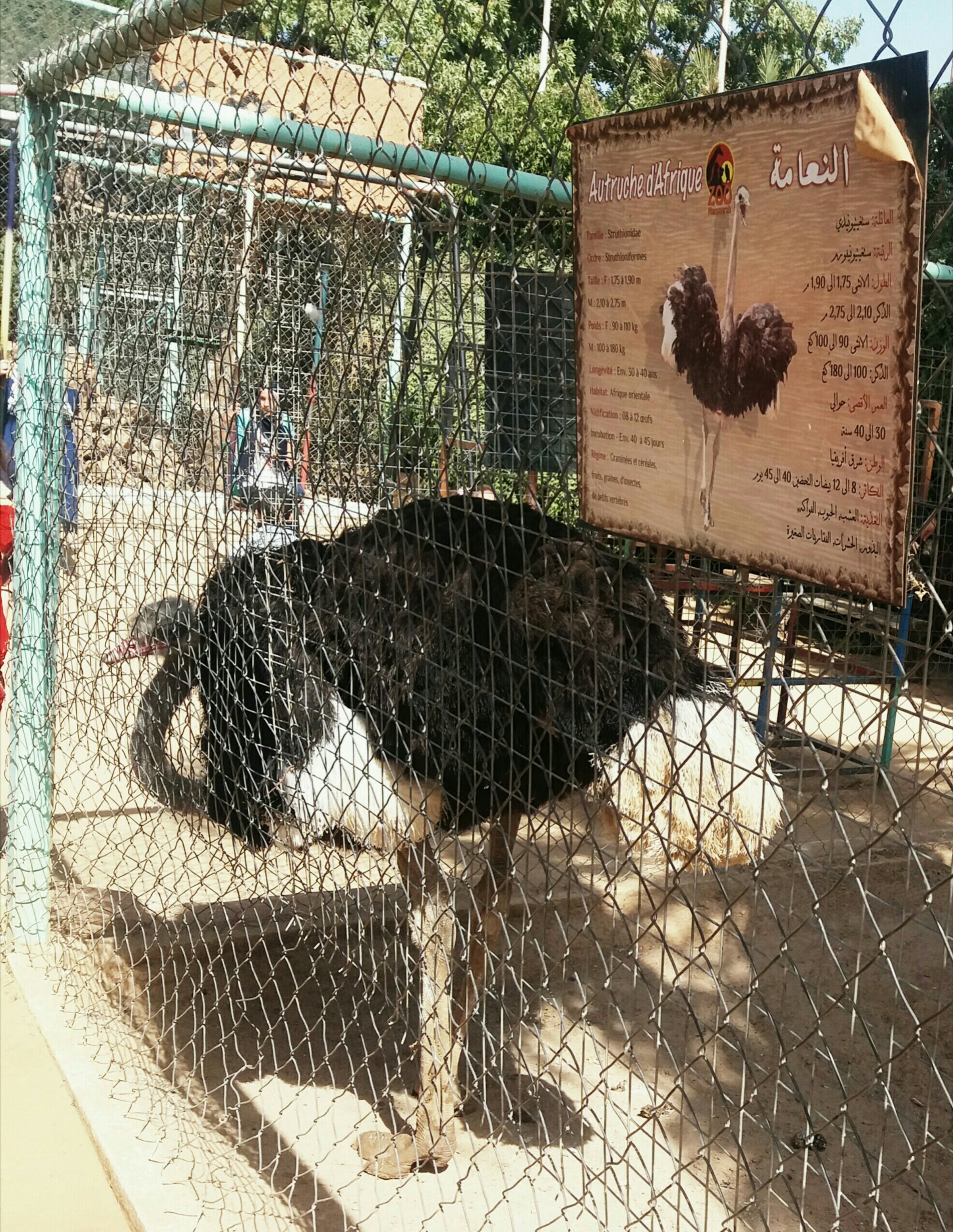 ���� ���� ������ �� ���� ������