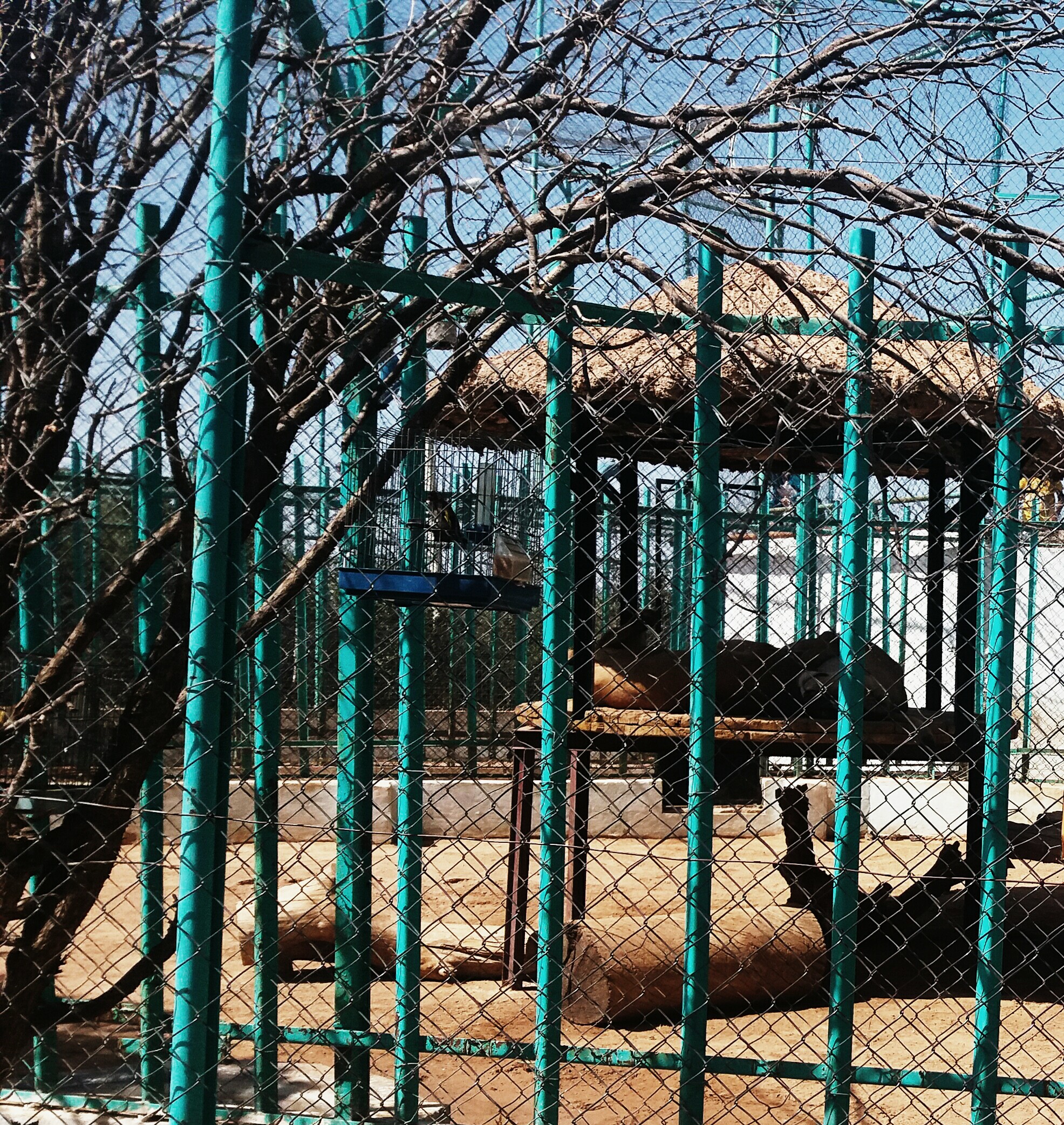 ���� ���� ������ �� ���� ������