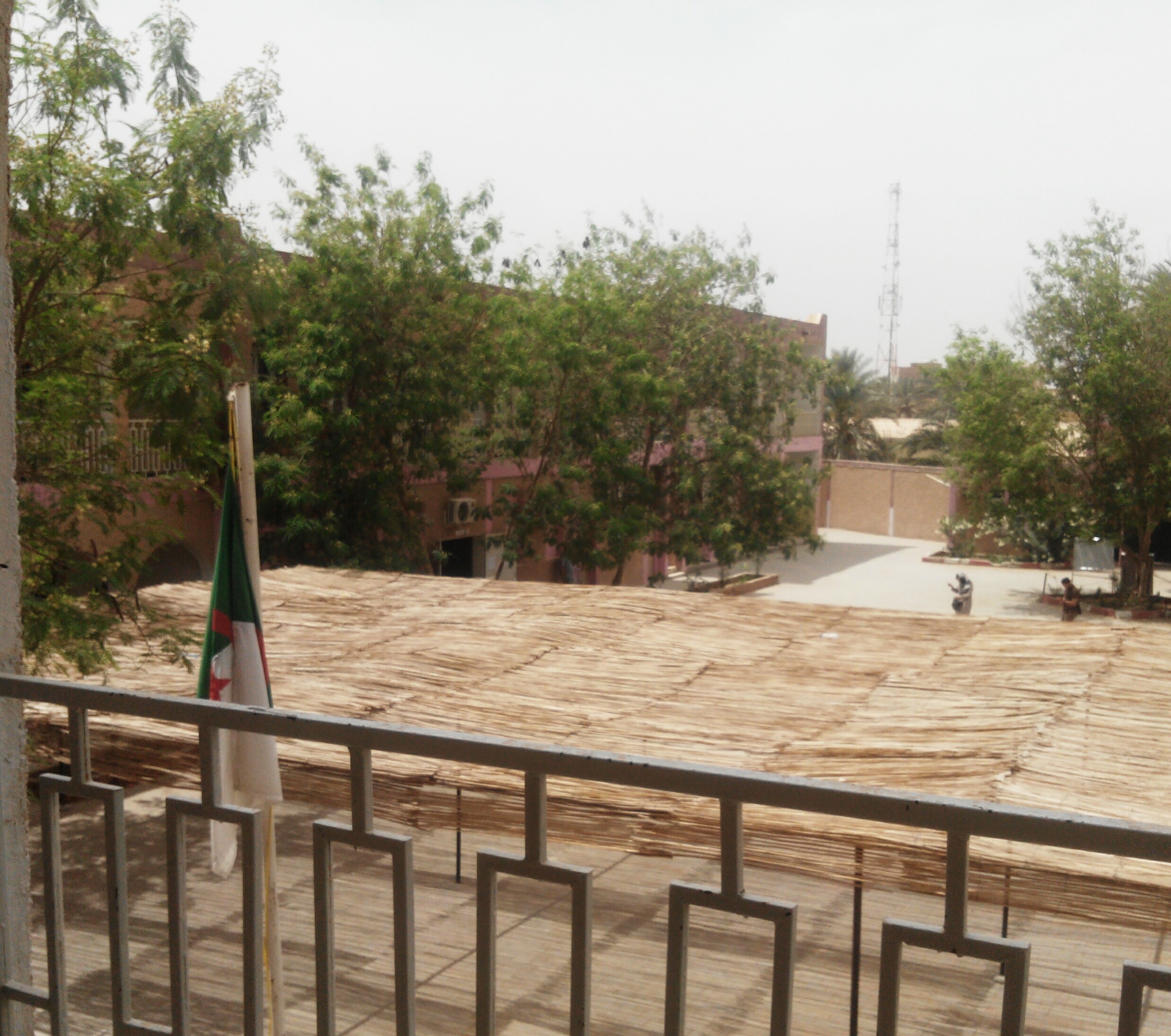 ���� ���� ������ �� ���� ������