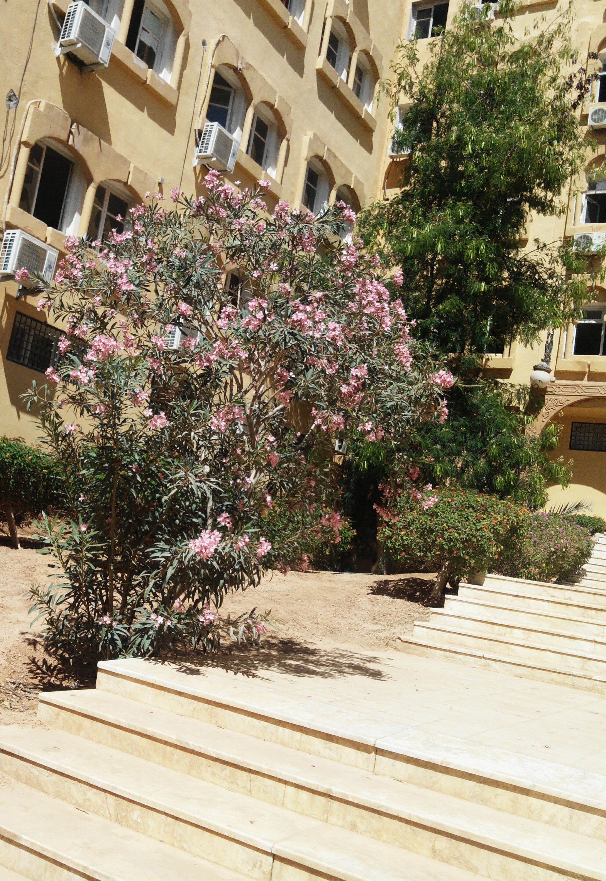 ���� ���� ������ �� ���� ������