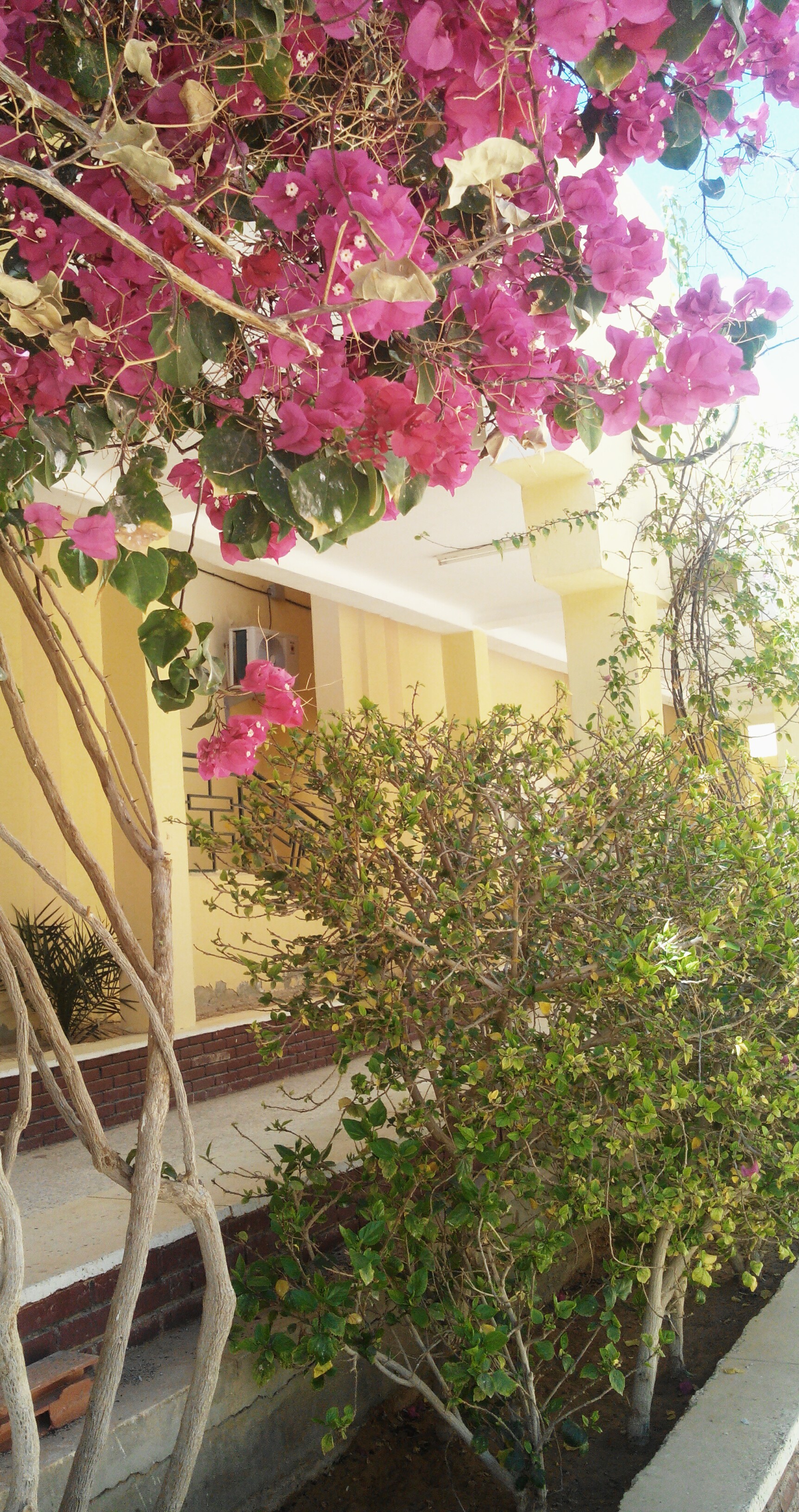 ���� ���� ������ �� ���� ������