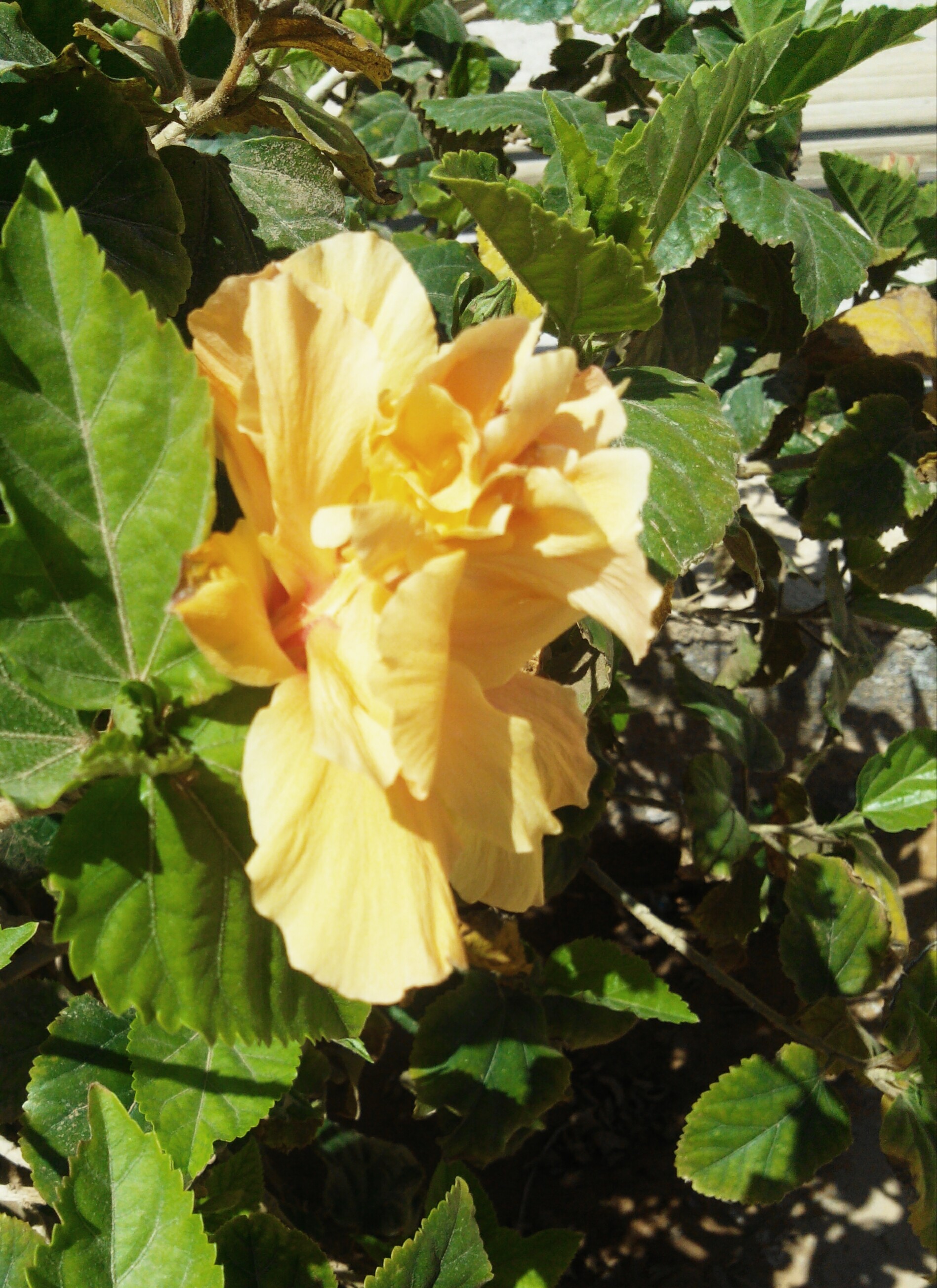 ���� ���� ������ �� ���� ������