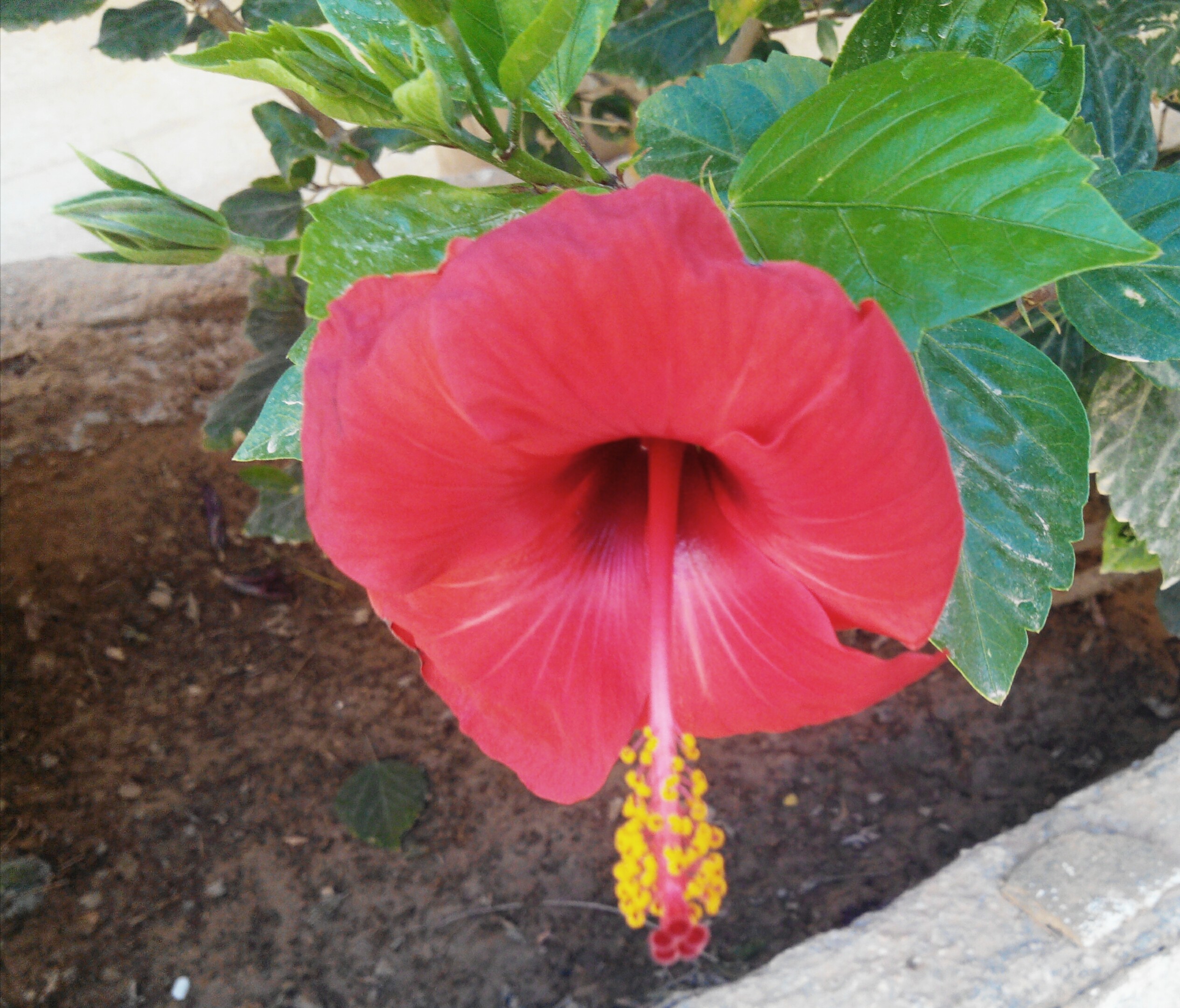 ���� ���� ������ �� ���� ������