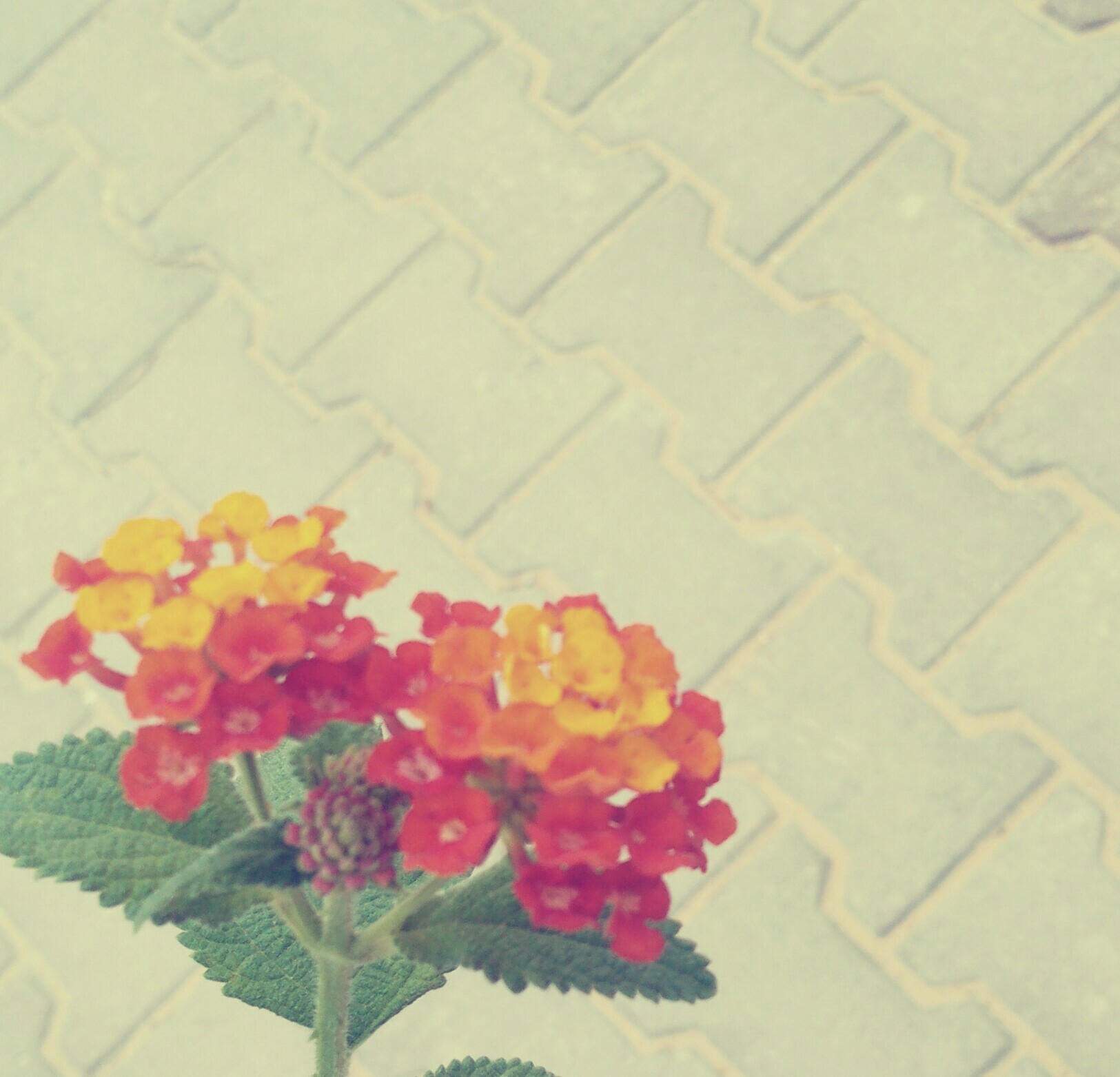 ���� ���� ������ �� ���� ������