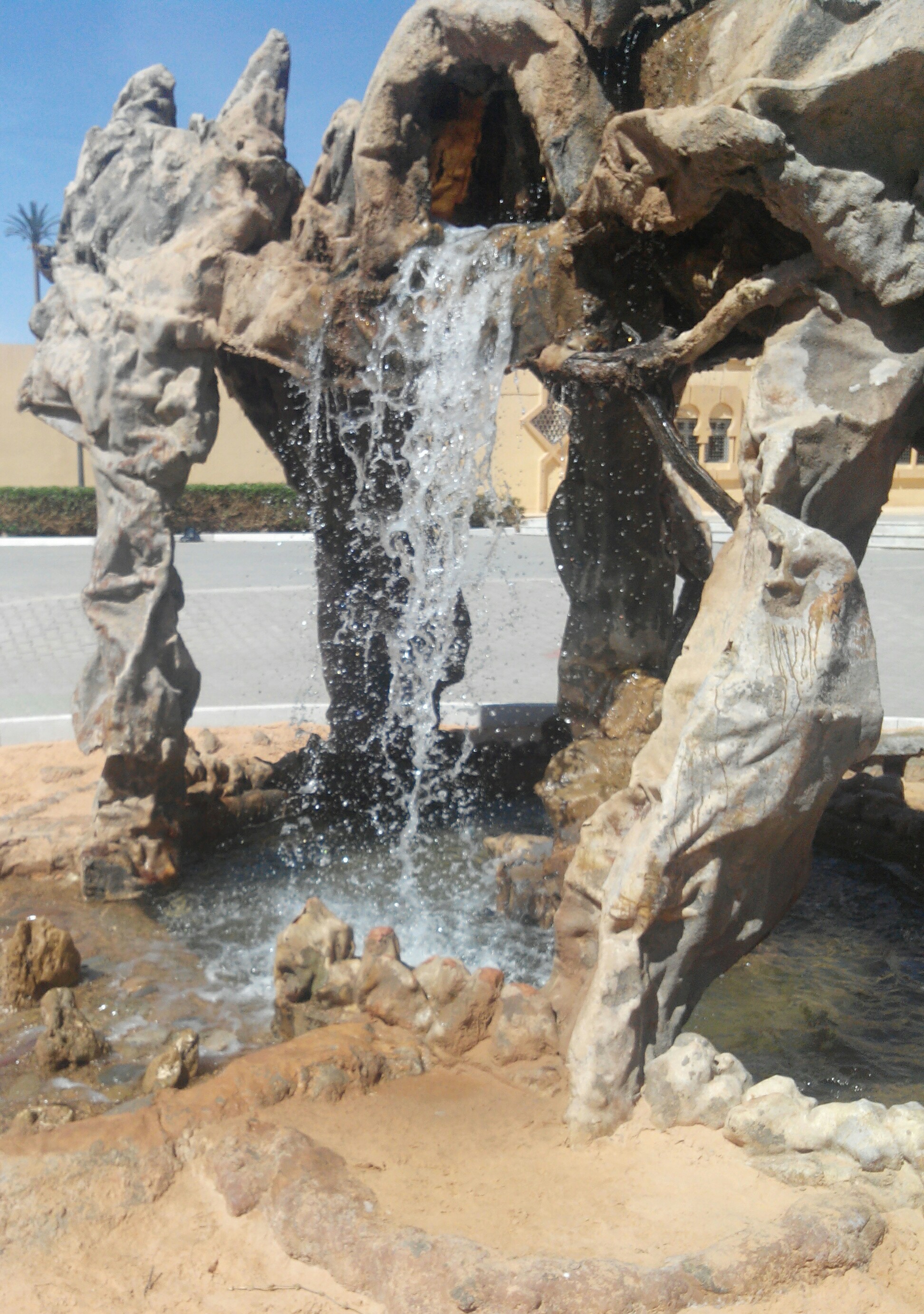 ���� ���� ������ �� ���� ������