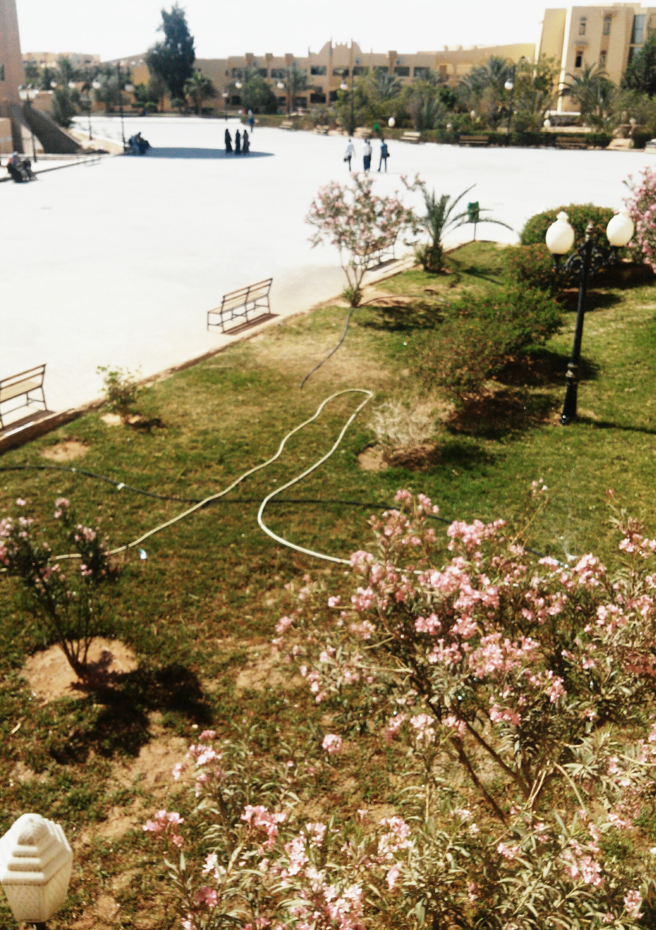 ���� ���� ������ �� ���� ������