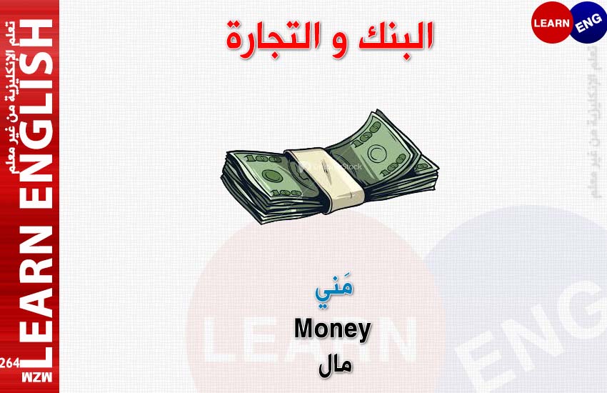   bntpal.com_147236786