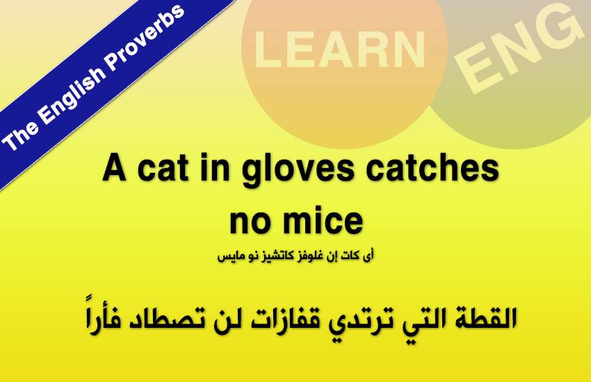  English Proverbs bntpal.com_147236833