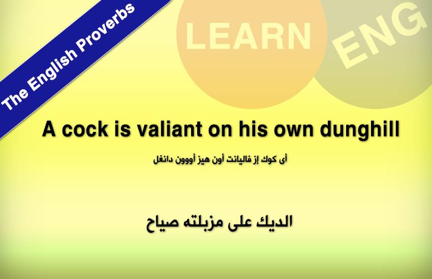  English Proverbs bntpal.com_147236833