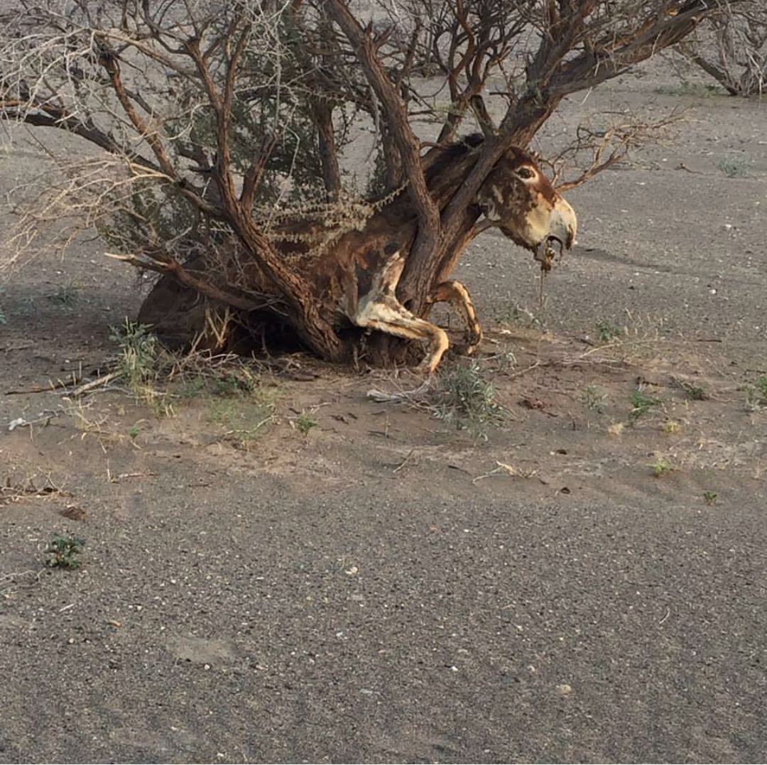 ���� ���� ������ �� ���� ������