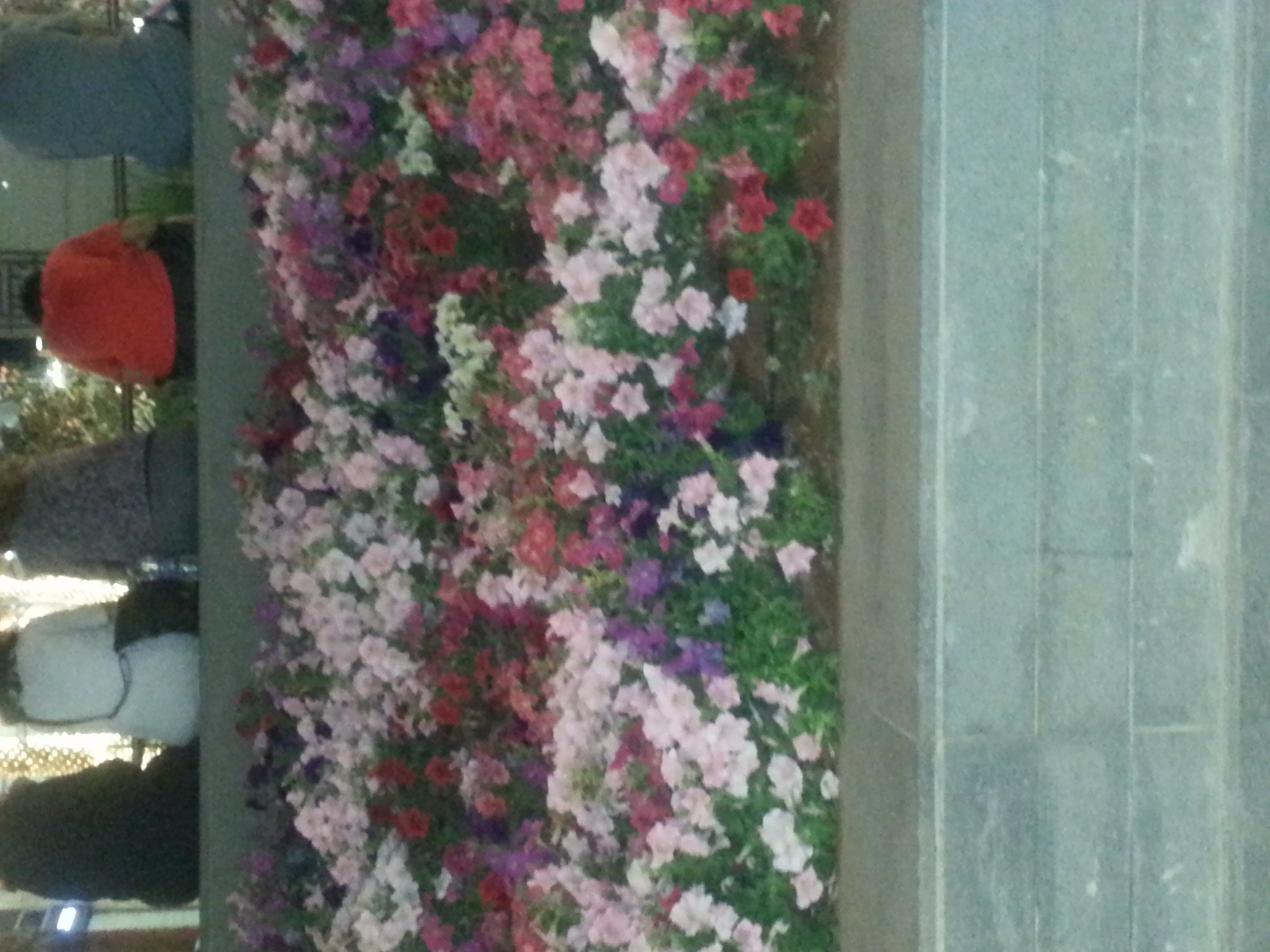 ���� ���� ������ �� ���� ������