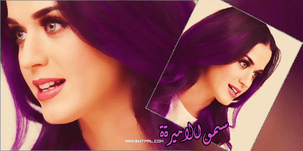  bntpal.com_147307967