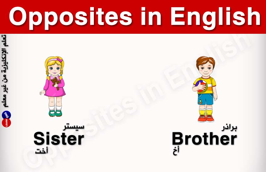 Opposites English   bntpal.com_147323146