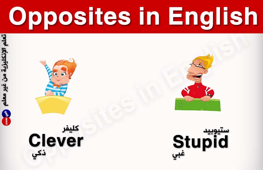 Opposites English   bntpal.com_147323146
