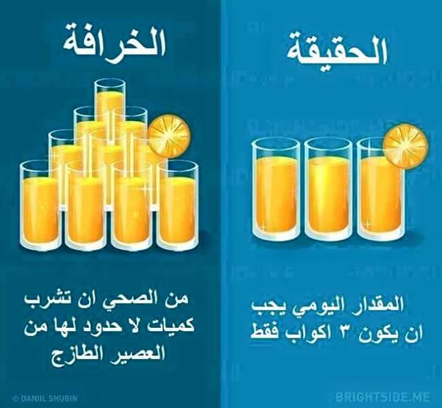  bntpal.com_147325640