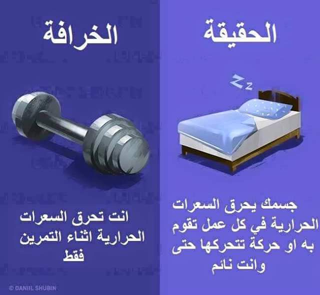  bntpal.com_147325640