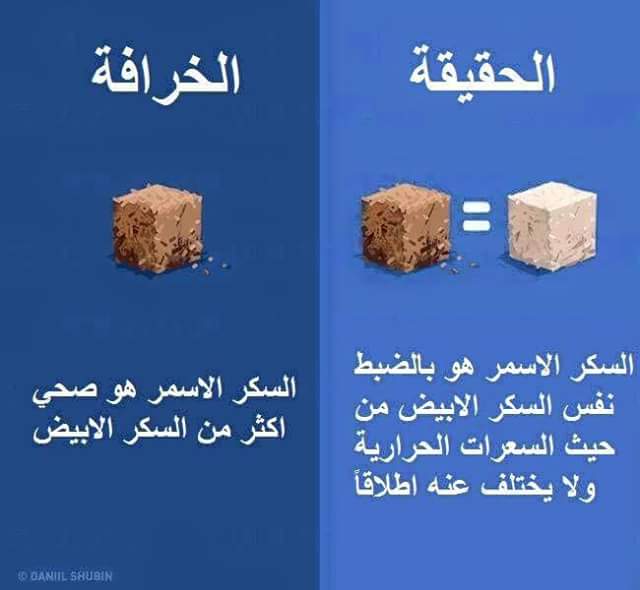  bntpal.com_147325640