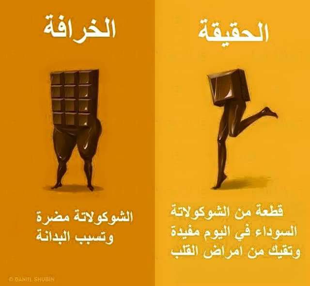  bntpal.com_147325640
