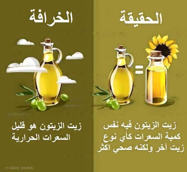  bntpal.com_147325640