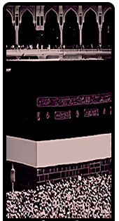 bntpal.com_147332113