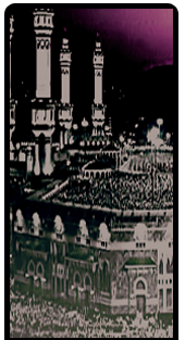 bntpal.com_147332113