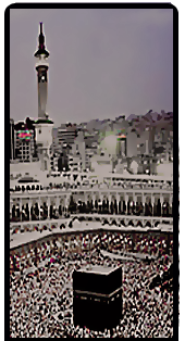 bntpal.com_147332113