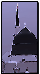 bntpal.com_147332113