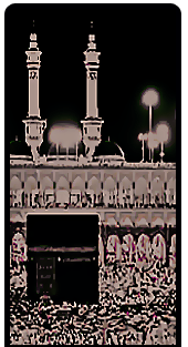 bntpal.com_147332113