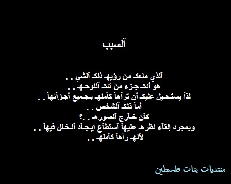 bntpal.com_147332955