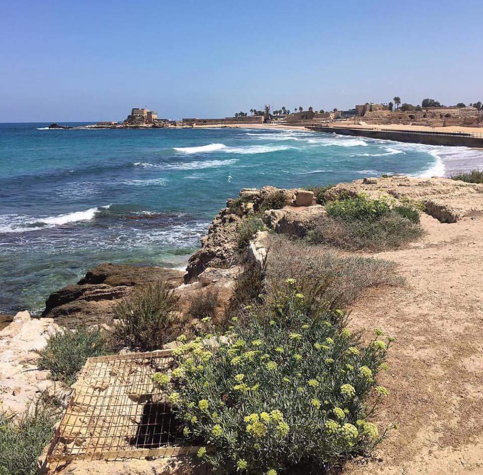  ٢٠١٦ bntpal.com_147335174