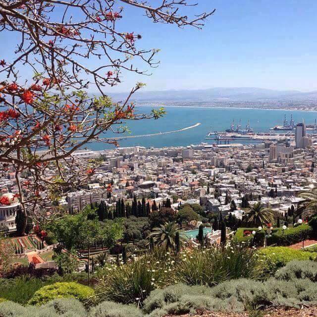  ٢٠١٦ bntpal.com_147335174