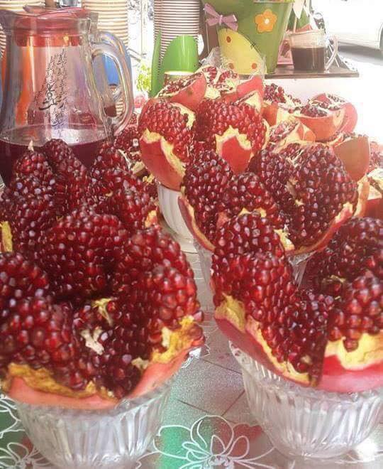  ٢٠١٦ bntpal.com_147335174