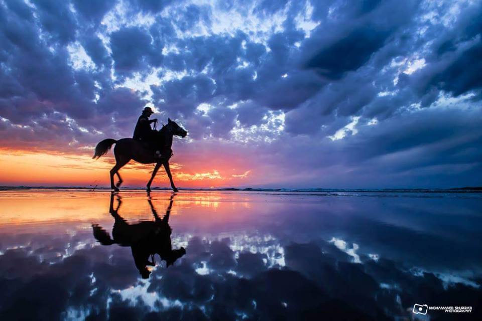  ٢٠١٦ bntpal.com_147335174