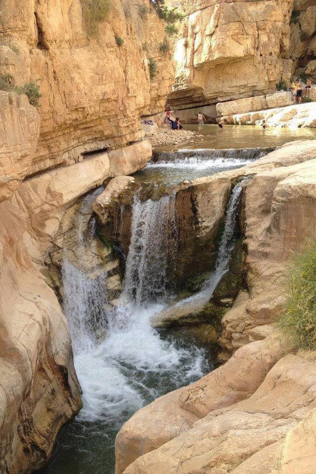  ٢٠١٦ bntpal.com_147335174