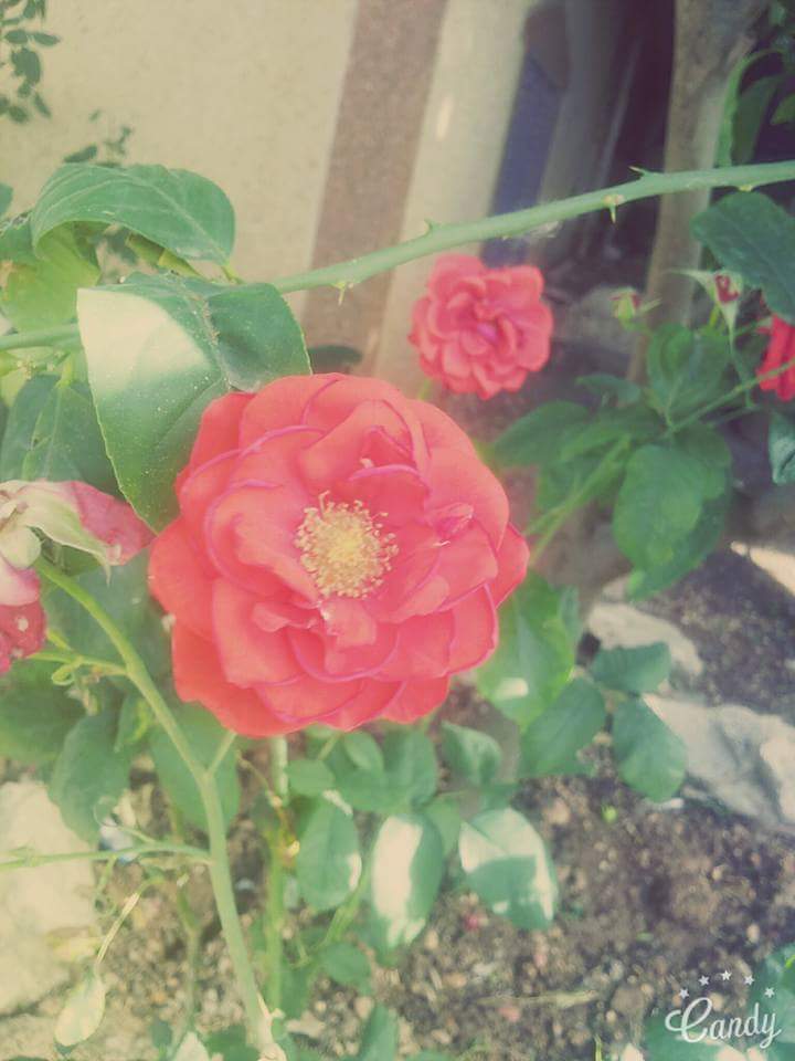 ���� ���� ������ �� ���� ������