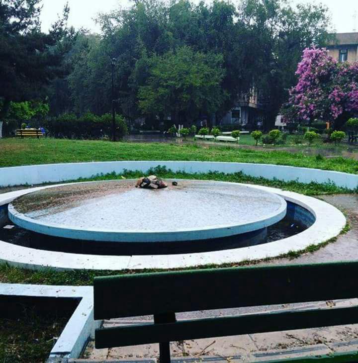  bntpal.com_147341691
