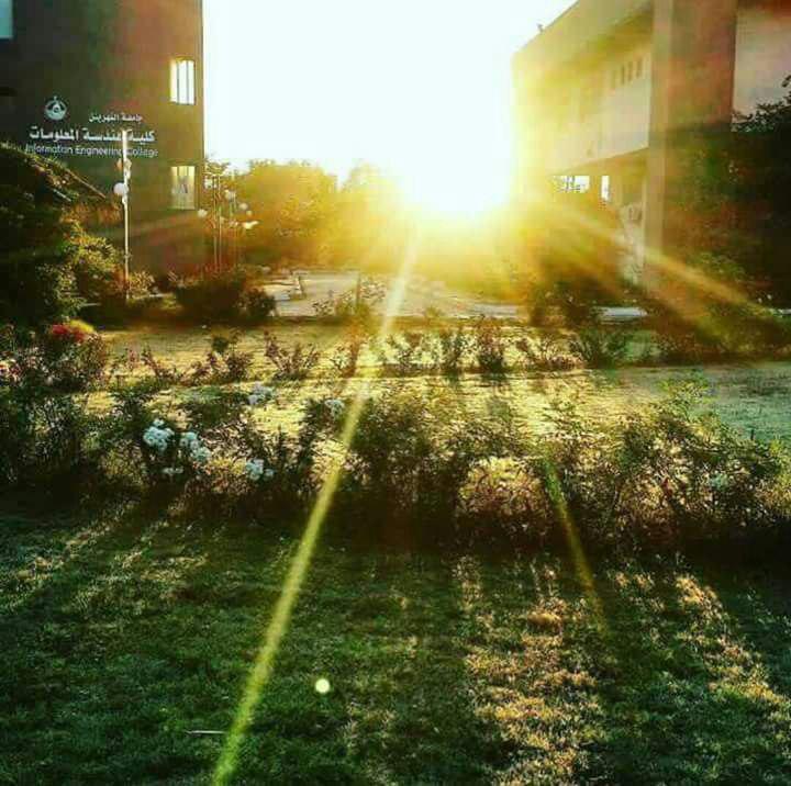  bntpal.com_147341691