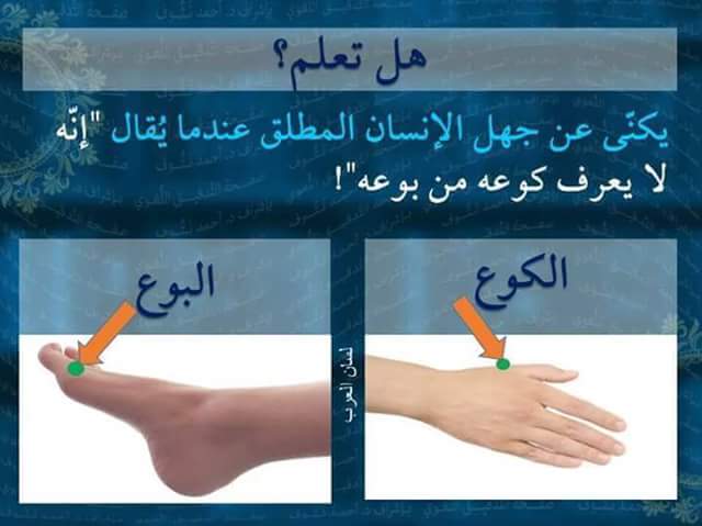 bntpal.com_147352511