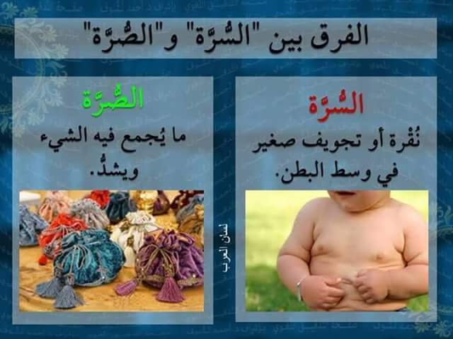 bntpal.com_147352511